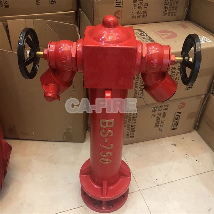 Outdoor Fire Hydrant