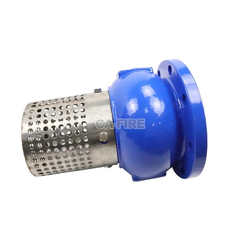 Cast Iron Foot Valve factory