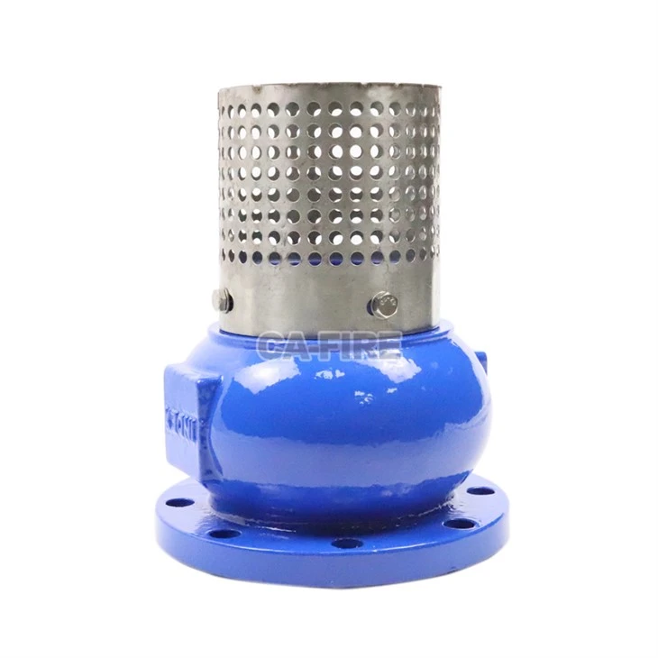 Cast Iron Foot Valve