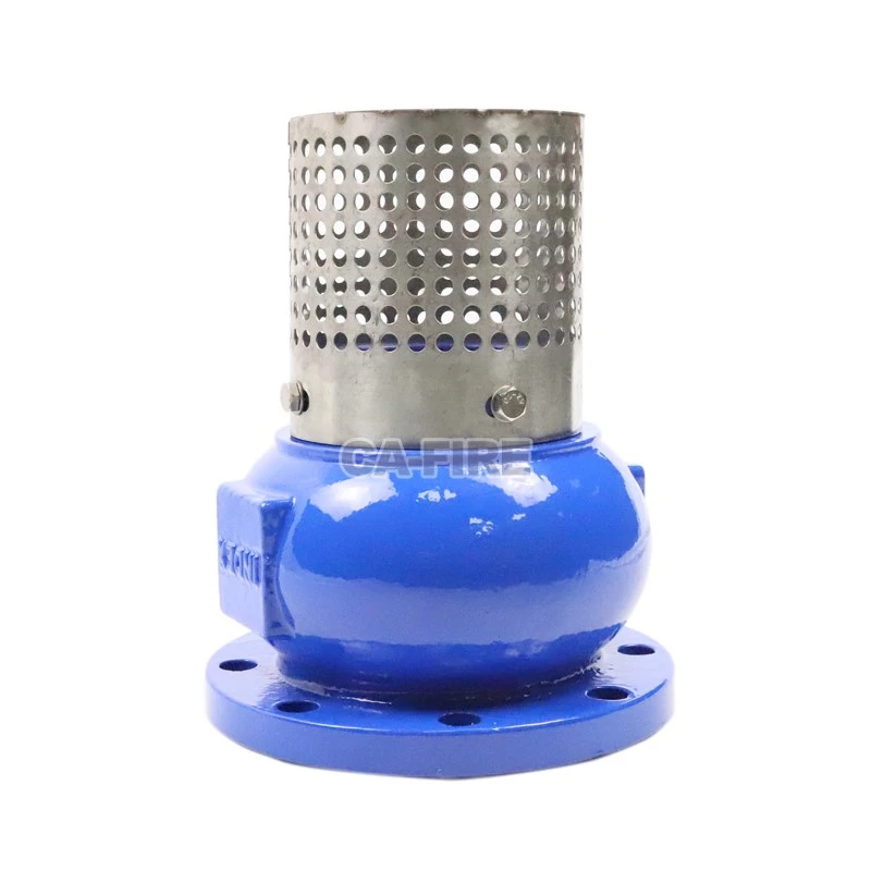 Foot Valve 2 Foot Valve 2