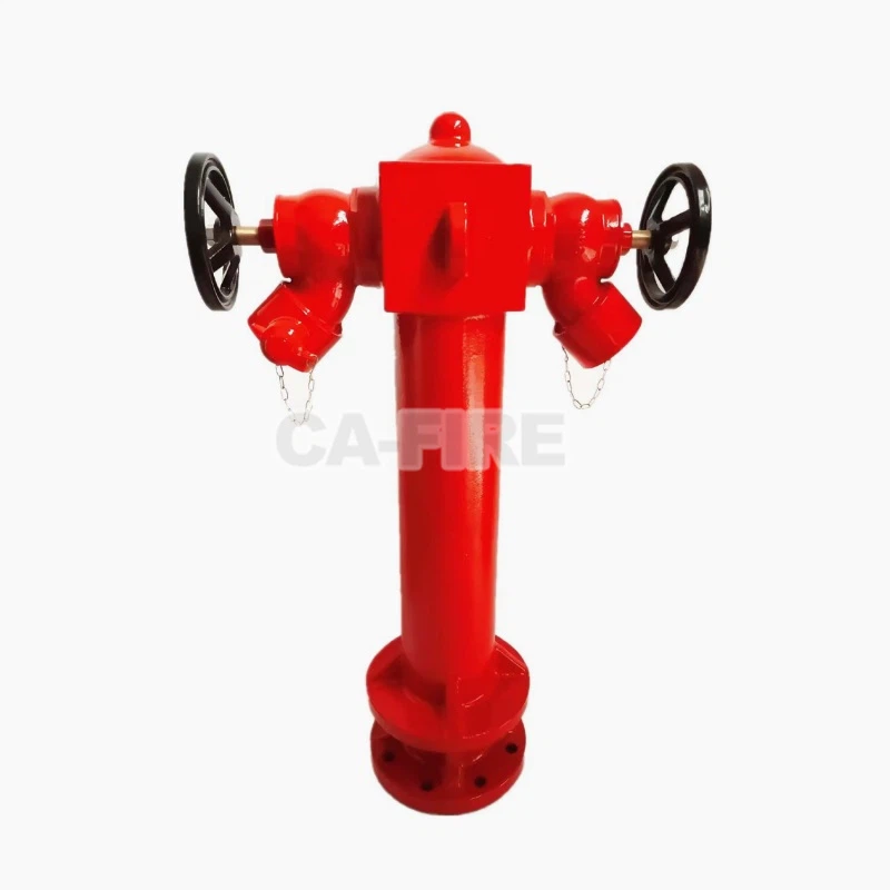 product-800-800 product-800-800