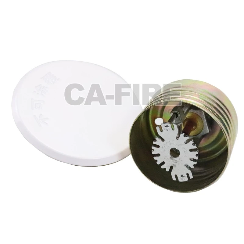 Sleek Concealed Fire Sprinklers