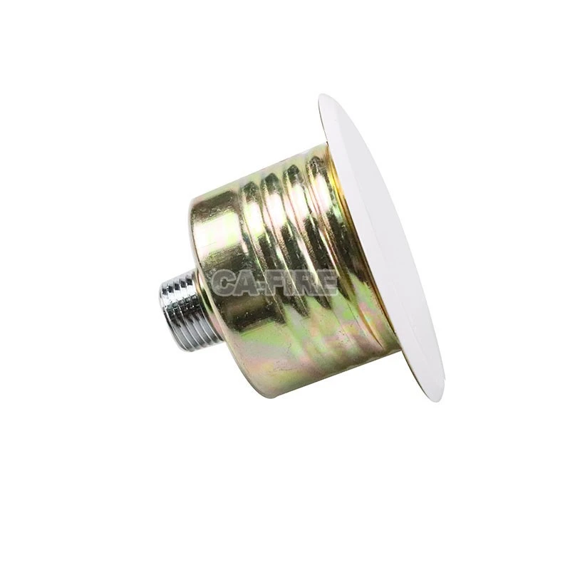 Sleek Concealed Fire Sprinklers